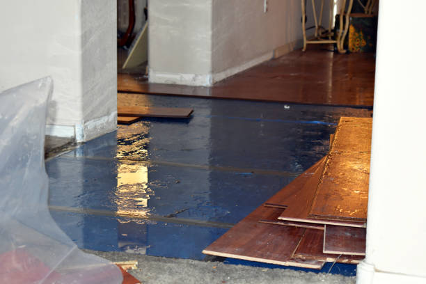 Professional Water Damage Restoration technician working in Clive, IA